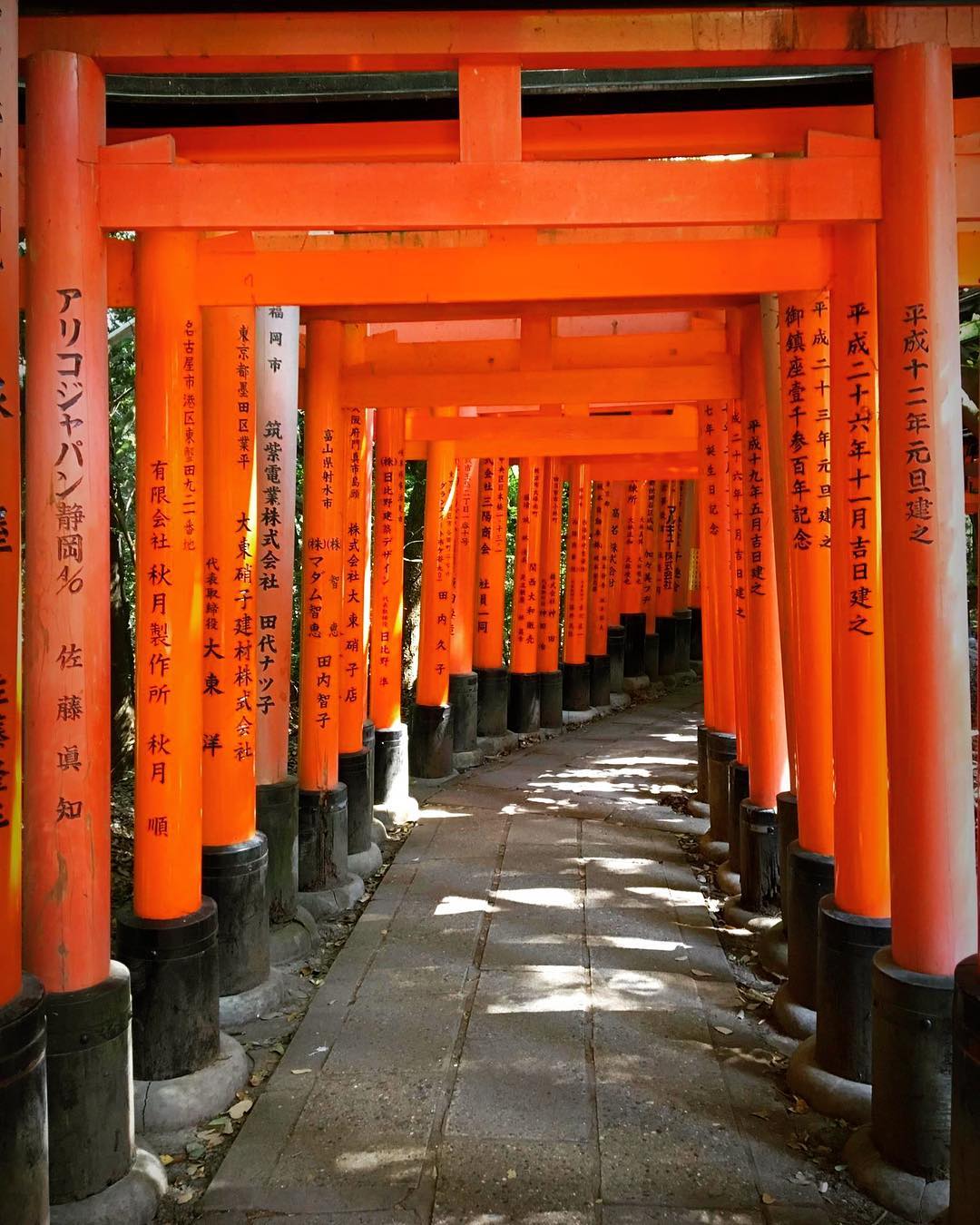 Santuario Fushimi Inari
