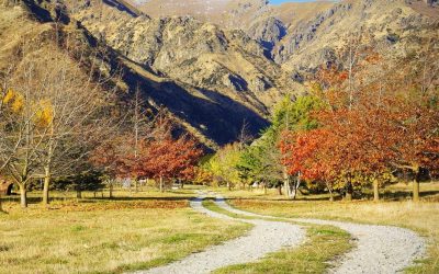 Otoño en Wanaka… paisajes que enamoran